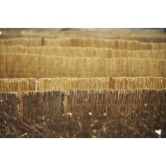 Samyang 100MM F28 NIKON AE